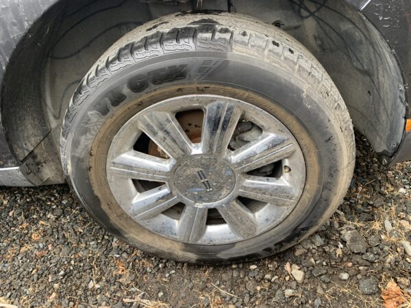 10115015 - Image 4
