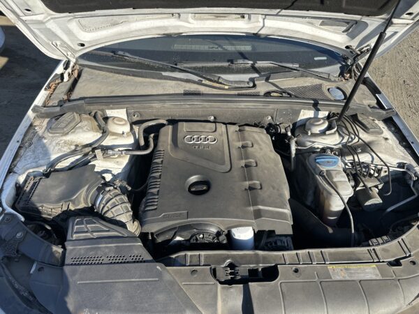 10115084 - Image 2